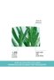 Carest Cosmetic - Hydra Vegetal Intensive Cream, Normal and Dry Skin - 4