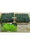 2 Adet 3-3 Cm Java Moss Yeni Tele Sarılı