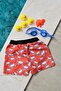Boy's Orange Crab Printed Waist Lace-up Swim Shorts - 4