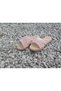 women's cross - outdoor model daily stylish and comfortable model full-mold slippers home guest slippers - 2