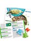LR-TACTILE TURTLES MATH ACTIVITY SET - 5