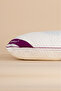 Innovation Nano Clean Latex Pillow Queen 60*40*12 - 3