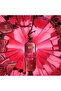 So Scandale Edp Women's Perfume 80 ml - 7