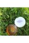 Transparent and 1 Goat Milk Soap - 3