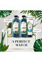 Bio Renew Repair Argan Oil Treatment Mask 180ml - 7
