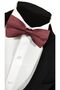 Burgundy Color Plain Bow Tie