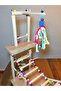 Table Top Bird Parrot Fun Playground - 6