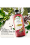 Bio Renew Arabica Coffee Fruit Shampoo 400ml - 4