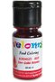 Gıda Boyası Set 1 10 ml - 5