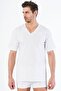 White Cotton V-Neck Short Sleeve T-Shirt