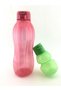 Eco Bottle 1.5 Lt Pomegranate Flower and 350 ml Frog - Set of 2 - 5