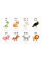 Animals and Their Sounds Card Set - 4