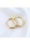 Surgical Steel Pentagonal Hypo-Allergic Earrings Non-Tarnish Earrings - 3
