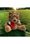 Toyzz Vecıhi Teddy Bear Top Special Gift for Lover Plush Toy Moon - 4