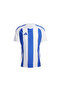 Striped 24 Jsy Men's Football Jersey Iw2144 White - 4