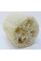 Natural Pumpkin Fiber (Body Dish Cleaning) 10.cm - 4