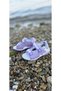 Girls' Sports Sandals