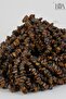 Tiger's Eye Natural Stone 100 Pieces - Necklace Bracelet Accessory - Natural Stone Beads - Broken Stone