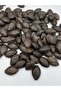 Mat Brown Large Almond Pattern Beads for Jewelry, Accessories, and Bag Making (100g ~ 20 Beads)
