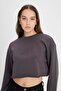 Regular Fit Regular Cut Crew Neck 100% Cotton Women's Anthracite Crop Logo Sweatshirt - 4