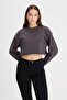 Regular Fit Regular Cut Crew Neck 100% Cotton Women's Anthracite Crop Logo Sweatshirt - 2