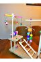 Colorful Bird Play Track - 5