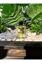 Mila E33 Edp 50 ml Parfüm - 3