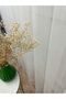 Modern Striped 1/2.5 Normal Pleat - Ecru - Cream Color Tulle Curtain