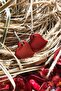 Matte Chrome Red Color Antiallergic Heart Earrings
