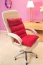 Red Color Orthopedic Office Chair Cushion - Guest Chair Chair Cushion Back Support - 4