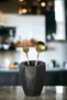 Countertop Cutlery Modern Countertop Cutlery Decorative Upright Cutlery Black Color Model 19