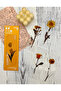 5-Piece Floral Transparent Yellow Box Bookmark - 2