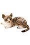 40 Cm Gray Plush Cat Tabby - Real Looking