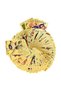 Pokemon Special Series 15 Pieces Gold Card and Pokemon Card Album - 3
