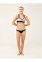 WOMEN'S THREE-COLOR 3-PACK PANTIES