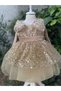 Gold Color Girls Tutu Evening Dress - 3