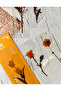 5-Piece Floral Transparent Yellow Box Bookmark - 3
