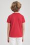 Boy's Flag Printed Short Sleeve Red T-Shirt Z5907a623sm - 8