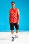 Regular Fit Basic Capri Shorts
