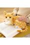 Yellow Plush Cat Tabby - Real Looking, 40 Cm - 5
