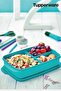 Compartmented Lunch Box