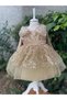 Gold Color Girls Tutu Evening Dress - 4