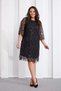 Women's Black Fringe Sequin Embroidered Plus Size Women's Elegant Evening Dress - 6