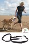 Dog Harness Hands-Free Walking Training Waist Harness Dog Fitness Running Harness - 2