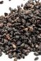 Home Buckwheat Shell Pillow - 4