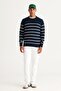Men's Navy Blue-ecru Standard Fit Regular Cut Crew Neck Striped Knitwear Sweater - 2