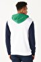 Men's White-green Standard Fit Regular Cut Hooded Cotton Striped Sweatshirt - 8