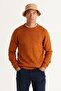 Men's Tile Standard Fit Normal Cut Crew Neck Jacquard Knitwear Sweater