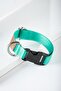 Dog Collar, Dog Leash, Adjustable, Durable Dog Collar - Foglia - 5