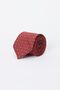 Men's Red Patterned Tie